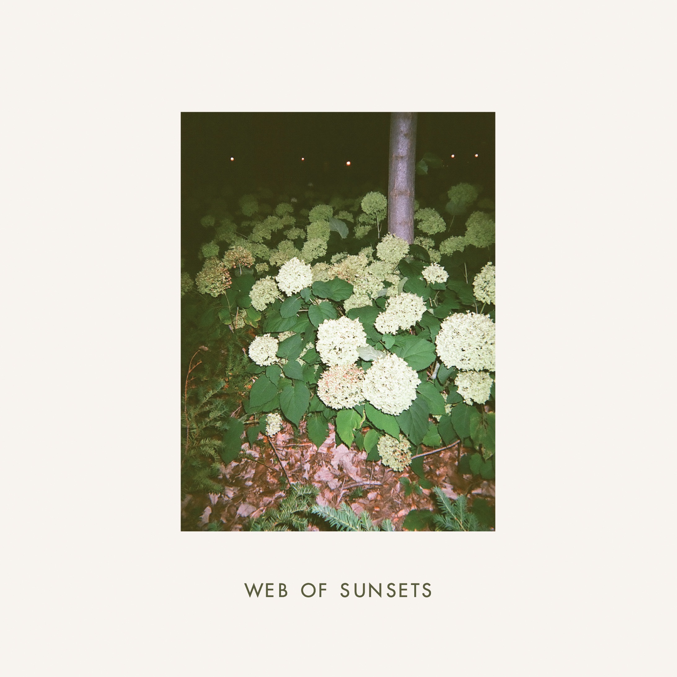 Fool's Melodies (Single)