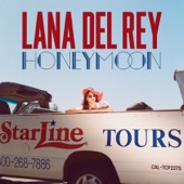 Lana Del Rey - Terrence Loves You  artwork