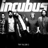 Incubus - Trust Fall  artwork