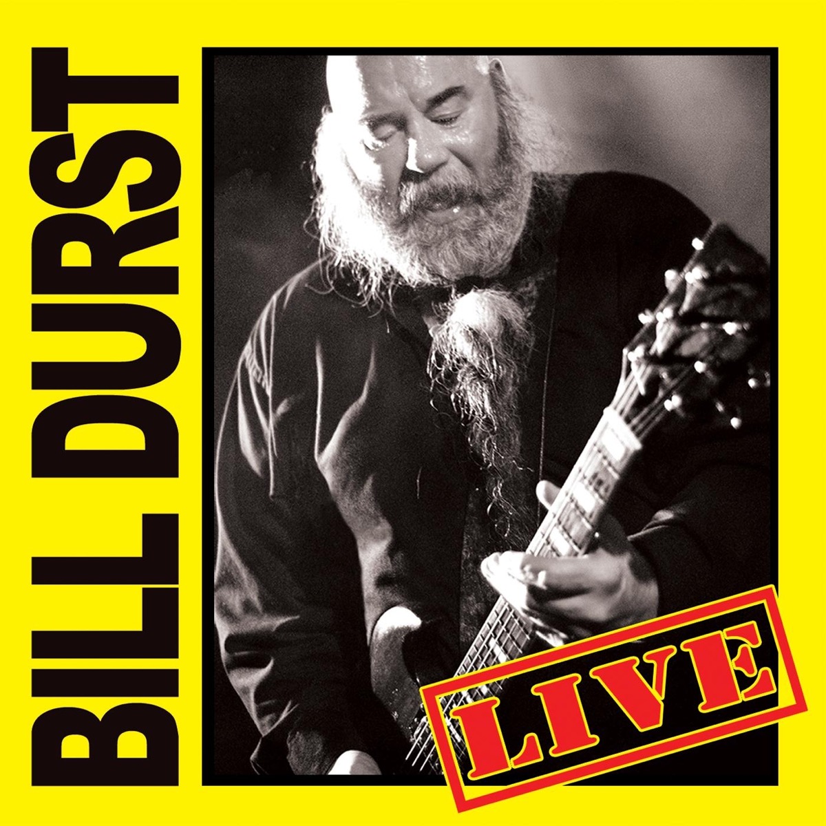 скачать bill durst wandering blues