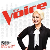 Meghan Linsey - I’m Not the Only One (The Voice Performance)  artwork