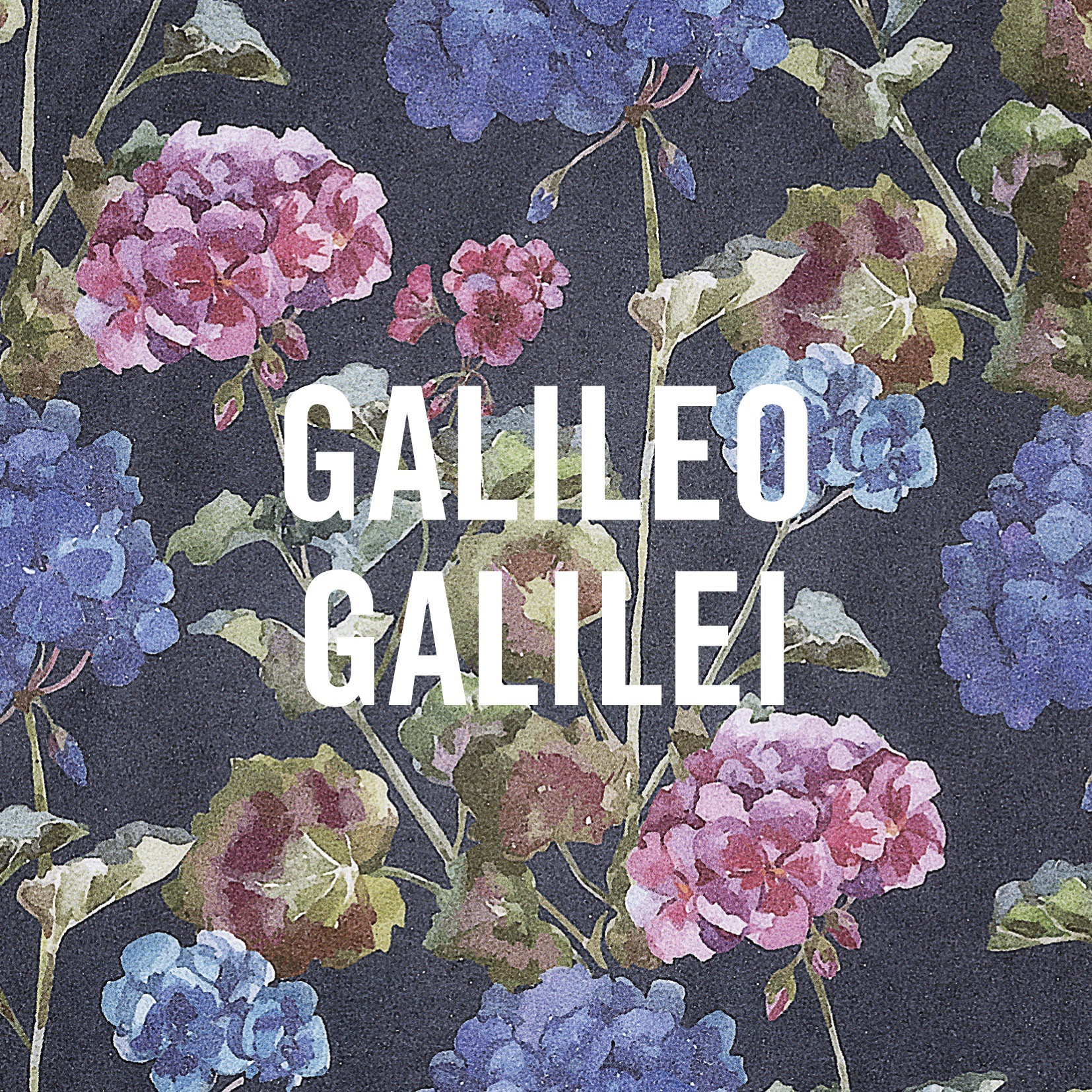 Galileo Galilei – 嵐のあとで