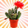 Cactus Plant Encyclop...