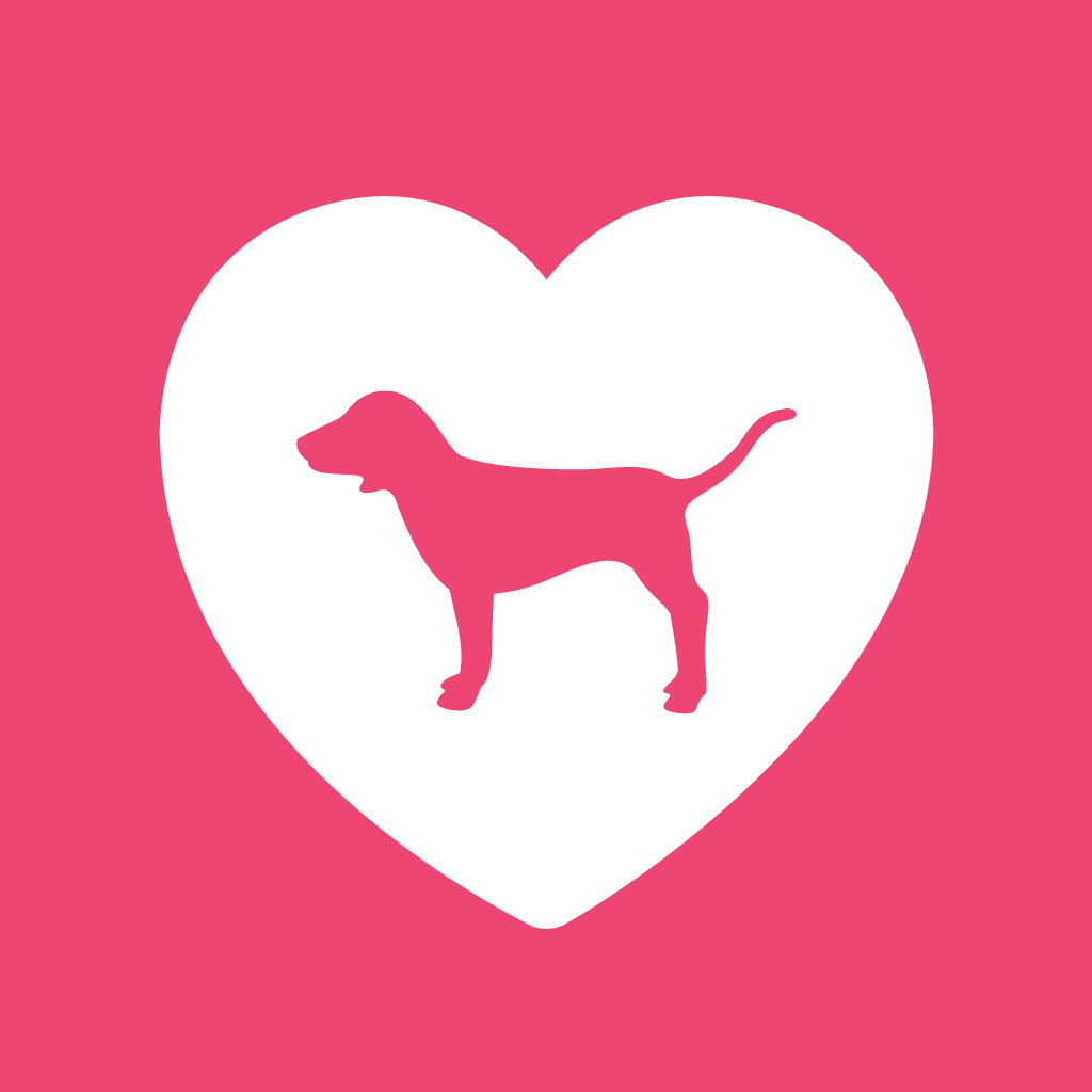 no app image