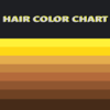 Hirokazu Ito - Hair Color Chart  ヘア カラー チャート　 アートワーク