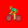 Turn Signal Bike