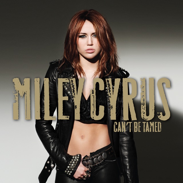 Can't Be Tamed Album Cover