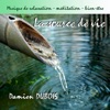 Pluie d'orage Pluie d'orage
