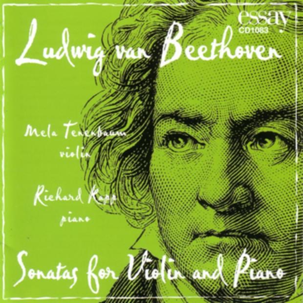 the music of beethoven essay the music of beethoven essay