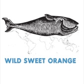 Land of No Return - Wild Sweet Orange