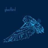 The Drug - ghost bird