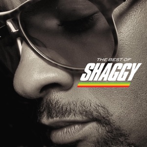 SHAGGY - Boombastic