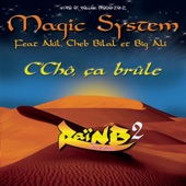 C Chô, Ça Brûle (feat. Akil, Cheb Bilal & Big Ali) - Single