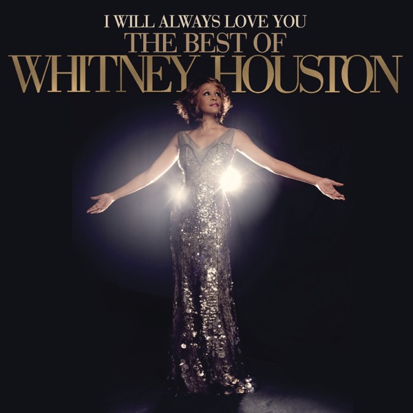 Whitney Houston - Love Will Save the Day