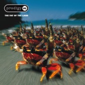The Fat of the Land (Expanded Edition)