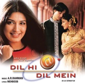 Dil Hi Dil Mein (Original Motion Picture Soundtrack)
