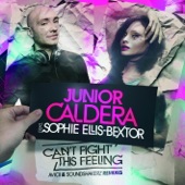 Can't Fight This Feeling (feat. Sophie Ellis-Bextor) - EP
