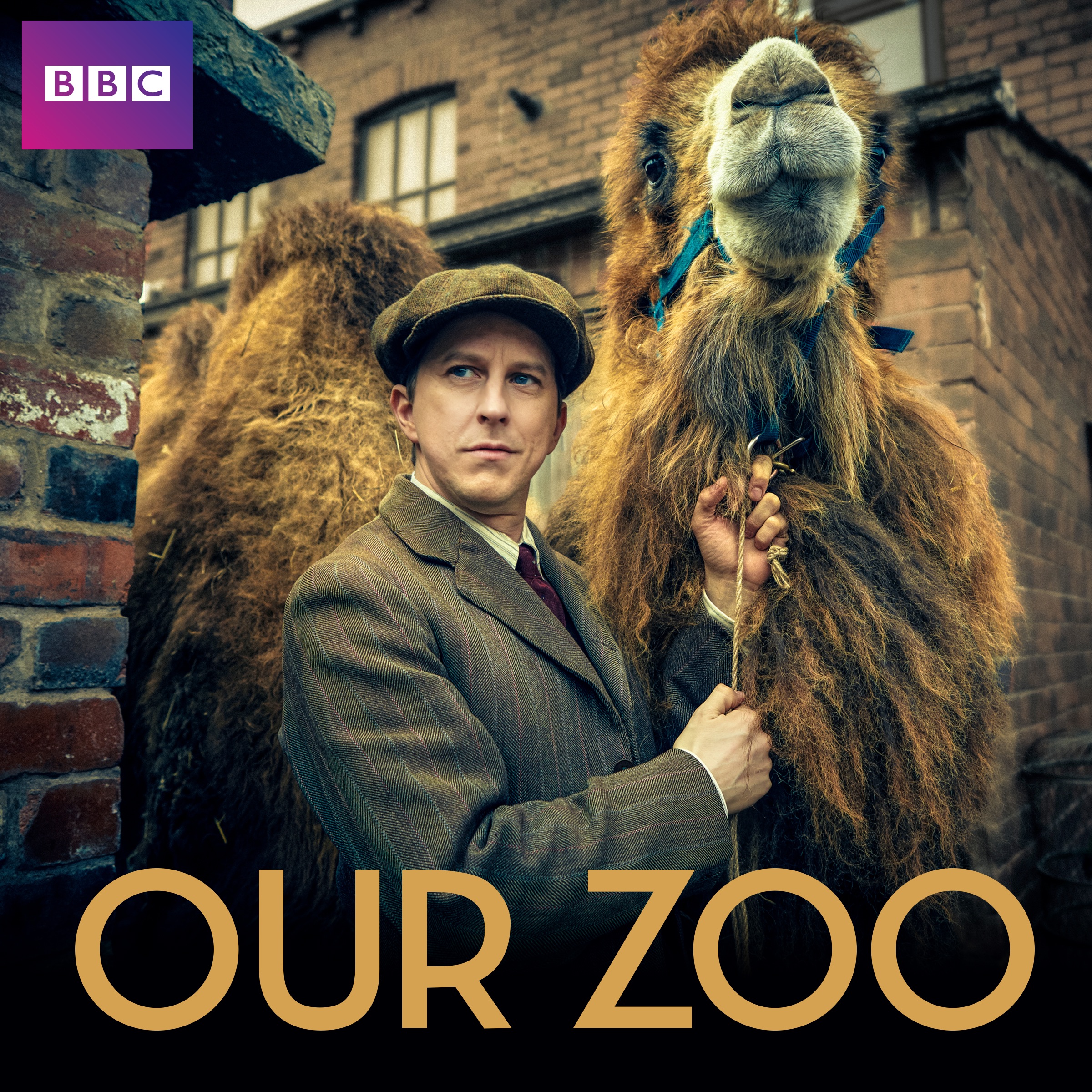 Our Zoo, Series 1 on iTunes