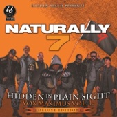 Hidden In Plain Sight (Deluxe Edition)