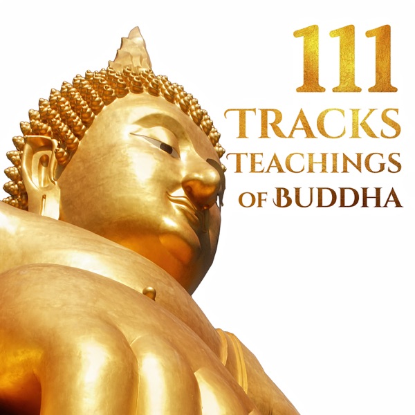 teachings of buddha “the teaching of buddha” is a collection of sakyamuni buddha’s teachings he preached his teachings, in order to allow all people to understand equally. teachings of buddha “the teaching of buddha” is a collection of sakyamuni buddha’s teachings he preached his teachings, in order to allow all people to understand equally.
