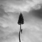 Manchester Orchestra - A Black Mile To The Surface  artwork