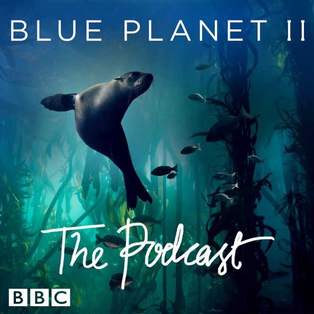 watch blue planet 2 episode 3 online