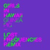 Guinea Pig (Lost Frequencies Remix)