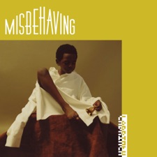 Misbehaving artwork