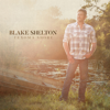 Blake Shelton - I Lived It  artwork