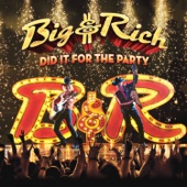 Big & Rich - Did It for the Party  artwork
