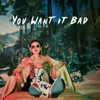 You Want It Bad - Single