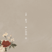 Shawn Mendes - In My Blood artwork