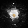 Lonely Together (feat. Rita Ora) - Avicii