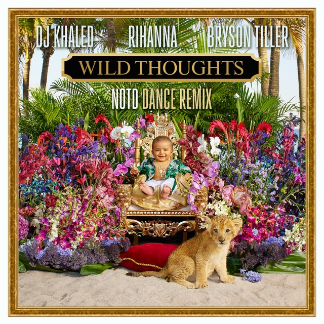 DJ Khaled Wild Thoughts (feat. Rihanna & Bryson Tiller) [NOTD Dance Remix] - Single Album Cover