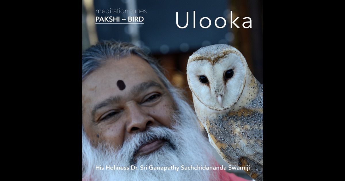 Meditation Tunes - Pakshi / Bird - Ulooka by <b>Sri Ganapathy</b> Sachchidananda ... - 1200x630bf
