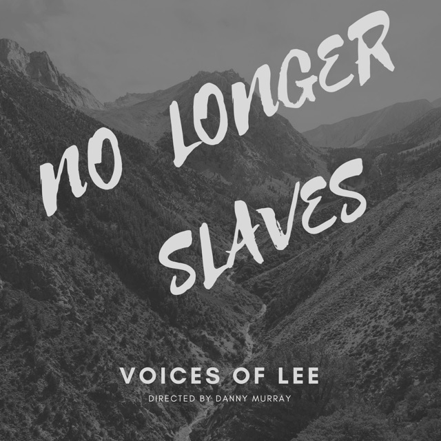 Voices of Lee No Longer Slaves - Single Album Cover