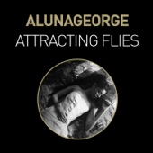 Attracting Flies - Single