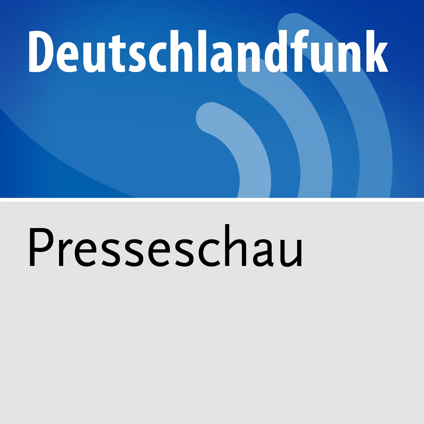 Dlf essay und diskurs