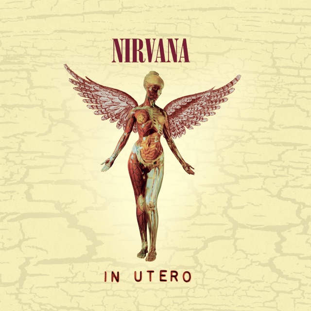 Nirvana In Utero (20th Anniversary) [Remastered] Album Cover