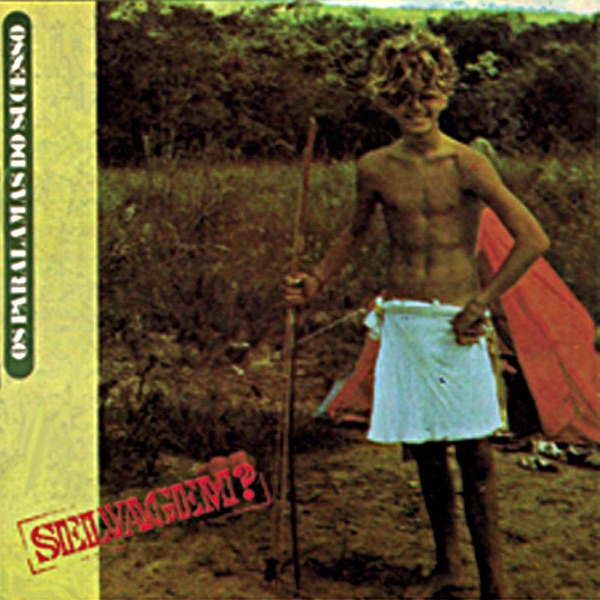 Os Paralamas do Sucesso - Voce