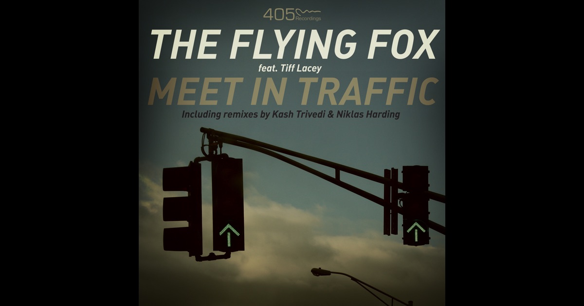 The Flying Fox [1964]