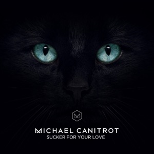 Sucker for Your Love