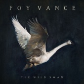Foy Vance - The Wild Swan  artwork