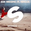 Missing (feat. Mingue) (Extended Mix)