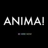 AnImA + AnImA +