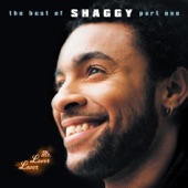 Mr. Lover Lover: The Best of Shaggy, Pt. 1