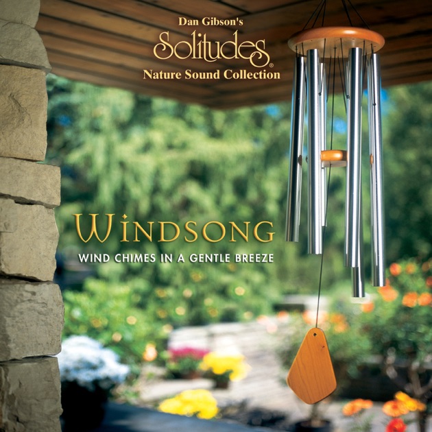Windsong By Dan Gibson S Solitudes On Apple Music