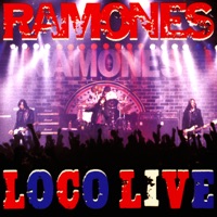 I Believe in Miracles (Ramones)