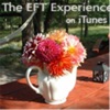 The EFT Experience: Sharing the Art of Emotional Freedom The EFT Experience: Sharing the Art of Emotional Freedom