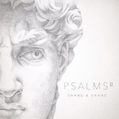 Shane & Shane - Psalms, Vol. 2  artwork